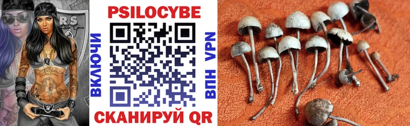 Галлюциногенные грибы ЛСД  где купить   Вязьма 