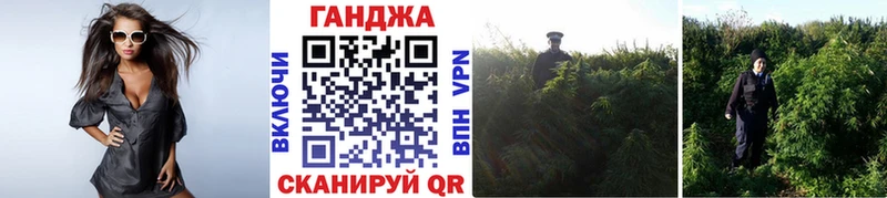 Шишки марихуана планчик  наркота  Вязьма 